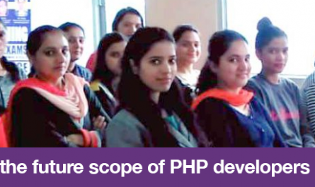 What is the future scope of PHP developers in India?