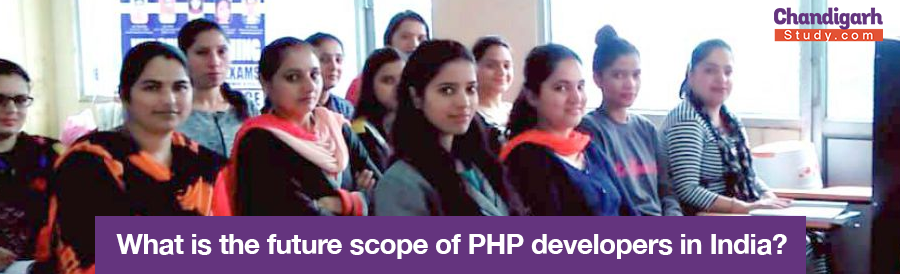 What is the future scope of PHP developers in India?