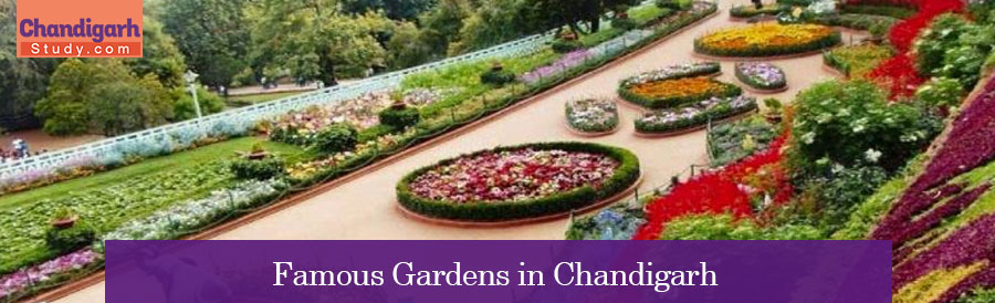 Famous Gardens in Chandigarh