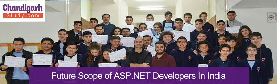 Future Scope of ASP.NET Developers In India