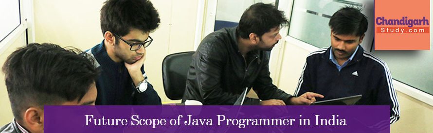 Future Scope of Java Programmer in India