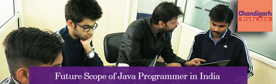 Future Scope of Java Programmer in India