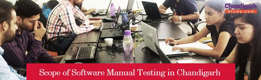 Scope of Software Manual Testing in Chandigarh