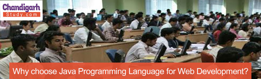 Why choose Java Programming Language for Web Development?