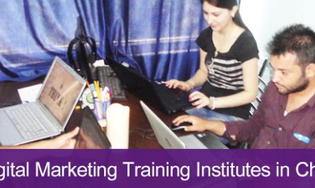 5 Best Digital Marketing Training Institutes in Chandigarh