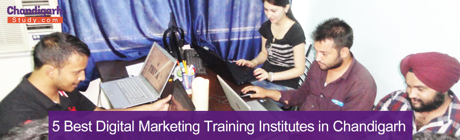 5 Best Digital Marketing Training Institutes in Chandigarh