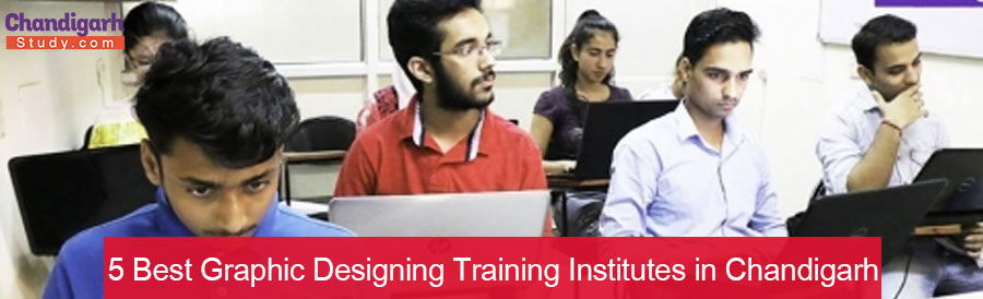 5 Best Graphic Designing Training Institutes in Chandigarh