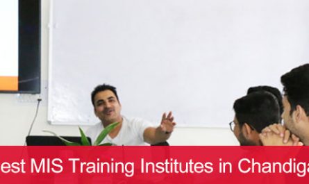 5 Best MIS Training Institutes in Chandigarh