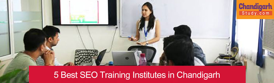 5 Best SEO Training Institutes in Chandigarh