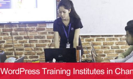5 Best WordPress Training Institutes in Chandigarh