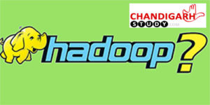  5 Best Big Data Hadoop Training Institutes in Chandigarh