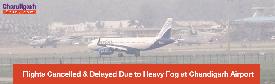 Flights Cancelled & Delayed Due to Heavy Fog at Chandigarh Airport