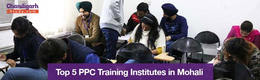 Top 5 PPC Training Institutes in Mohali