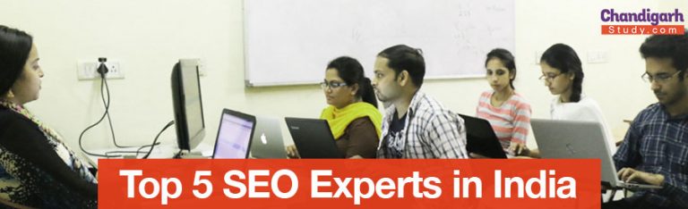 Top 5 SEO Experts in India - Best SEO Experts India | Chandigarh Study