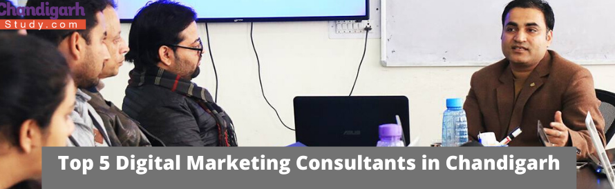 Top 5 Digital Marketing Consultants in Chandigarh