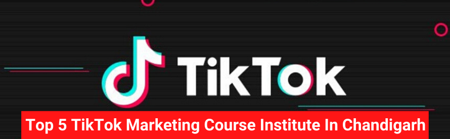 Top 5 TikTok marketing course Institute In Chandigarh.