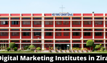 Best Digital Marketing Institutes in Zirakpur